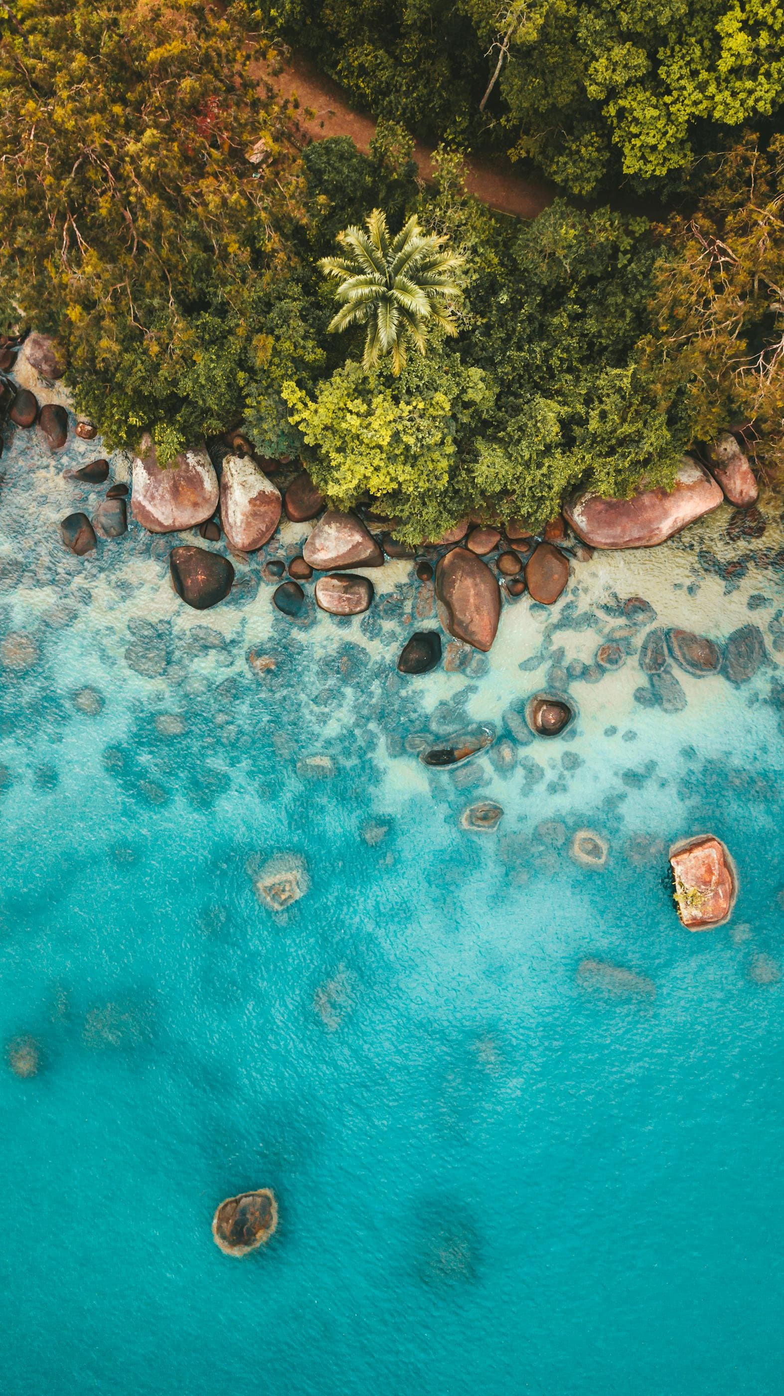Costa verde de São Sebastião vista do mar em passeio privativo de lancha
