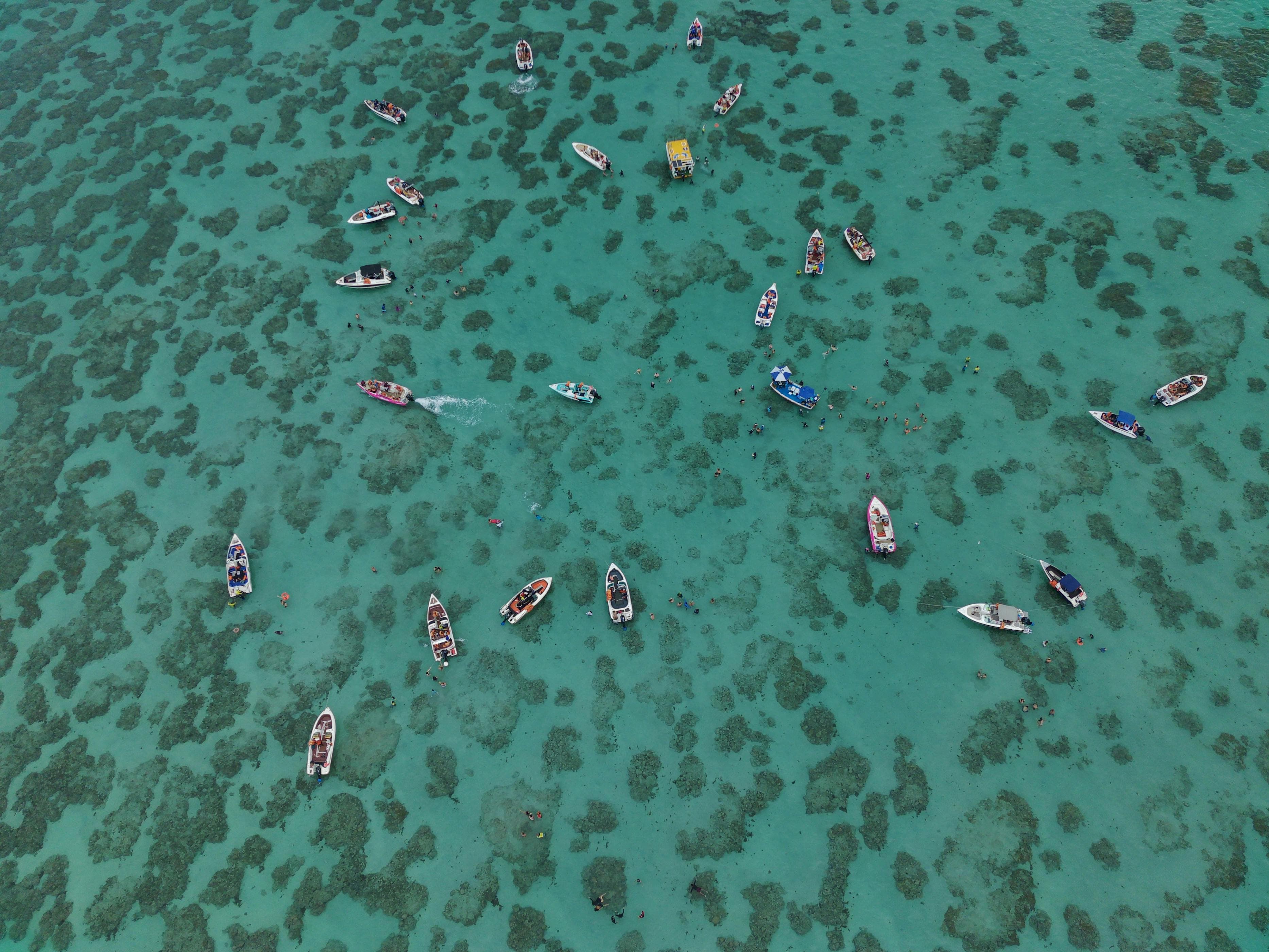 Barcos em água cristalina no litoral norte para passeio de lancha