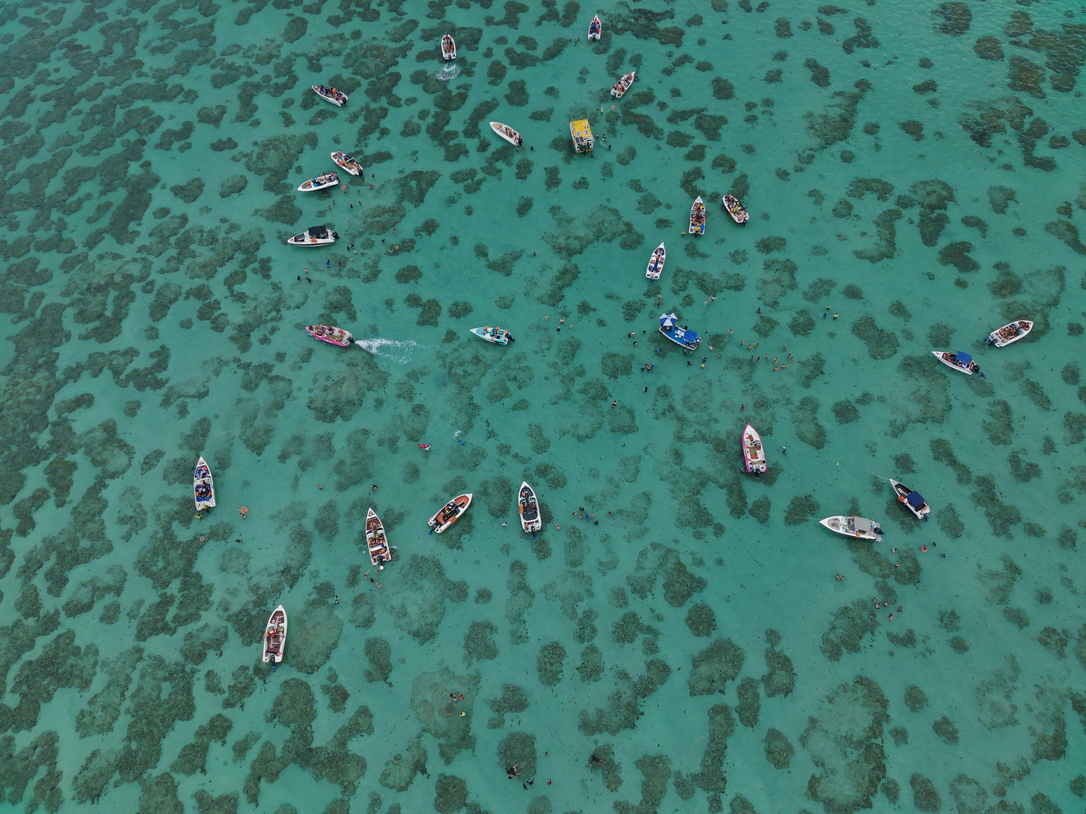 Barcos em água cristalina no litoral norte para passeio de lancha